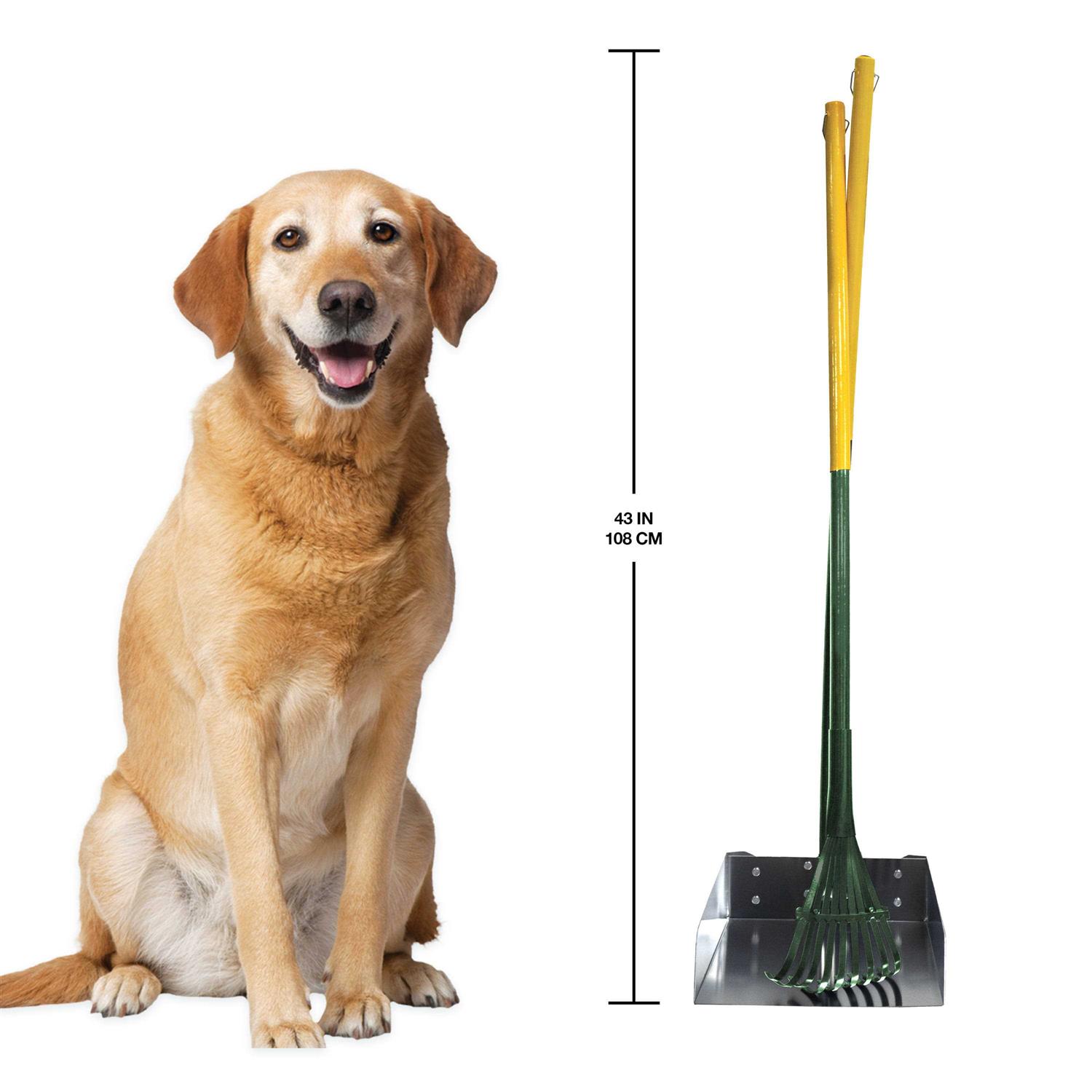 Four Paws Rake Set