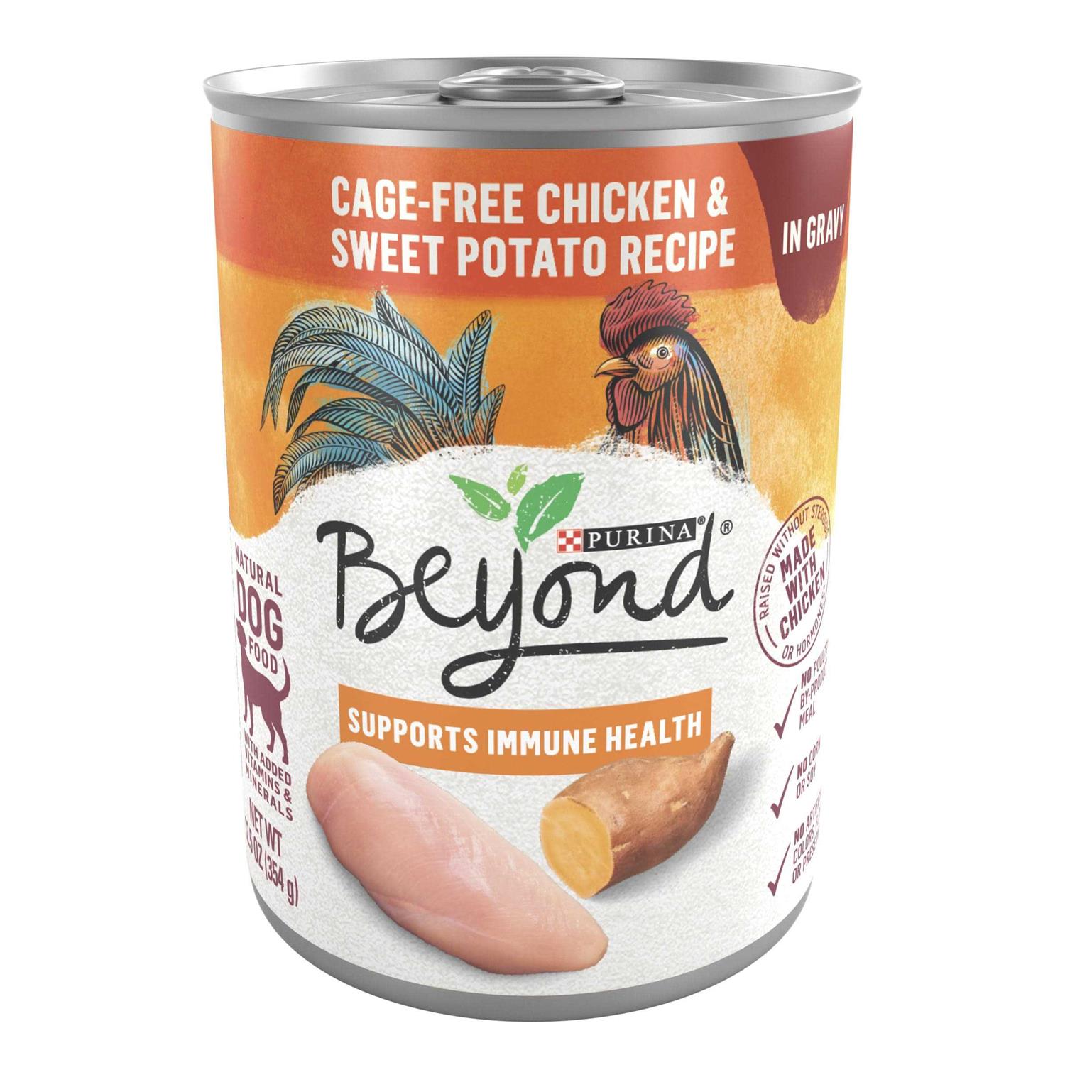Purina Beyond Chicken and Sweet Potato in Gravy Grain Free Wet Dog Food
