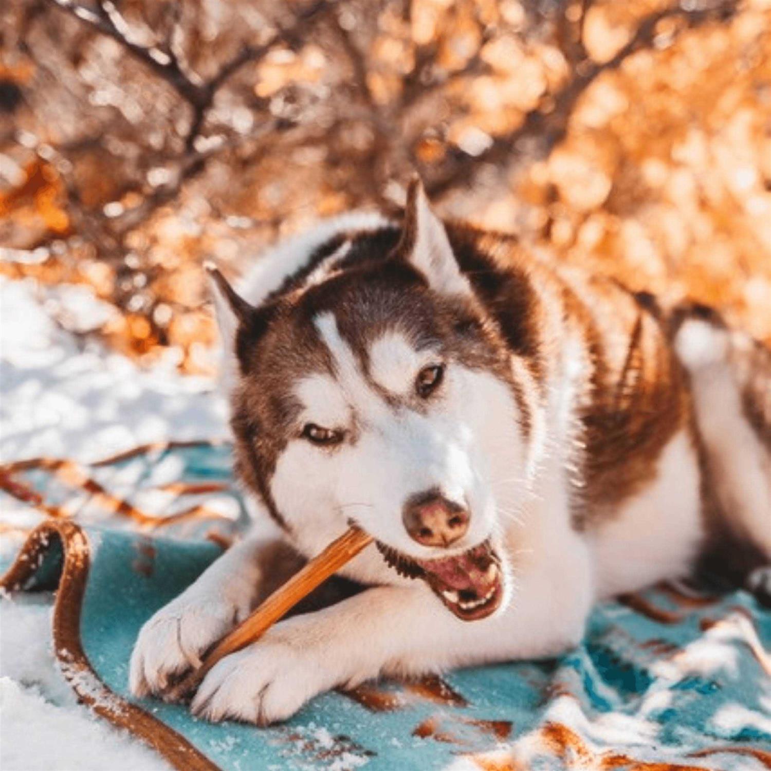 Natural Farm Bully Sticks Odor Free