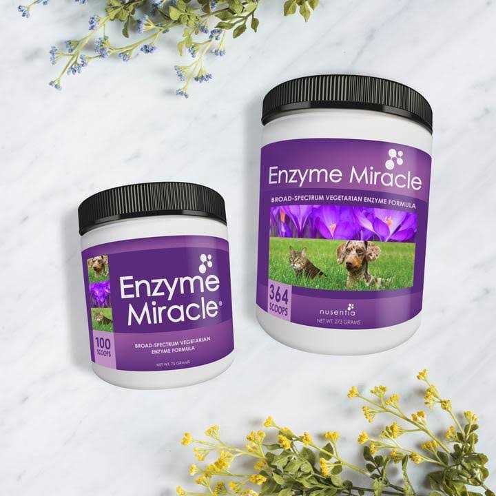 Enzyme Miracle Digestive