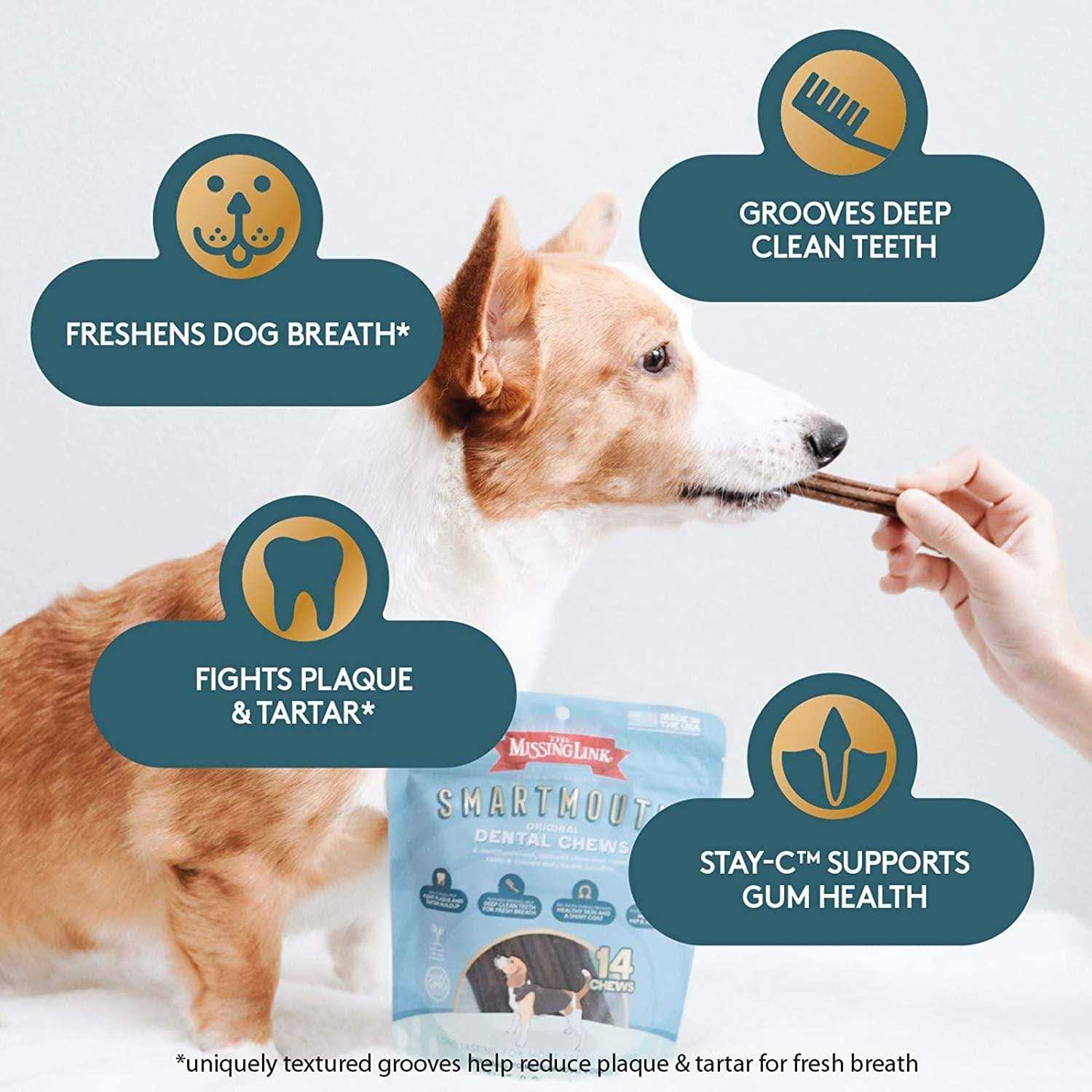 The Missing Link Smartmouth Dental Chews for Dogs