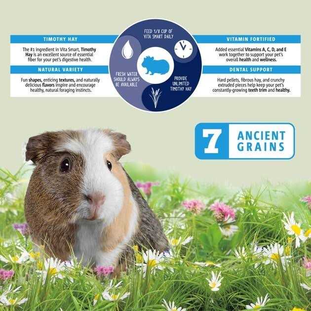 Vitakraft Vita Smart Blend Guinea Pig Food
