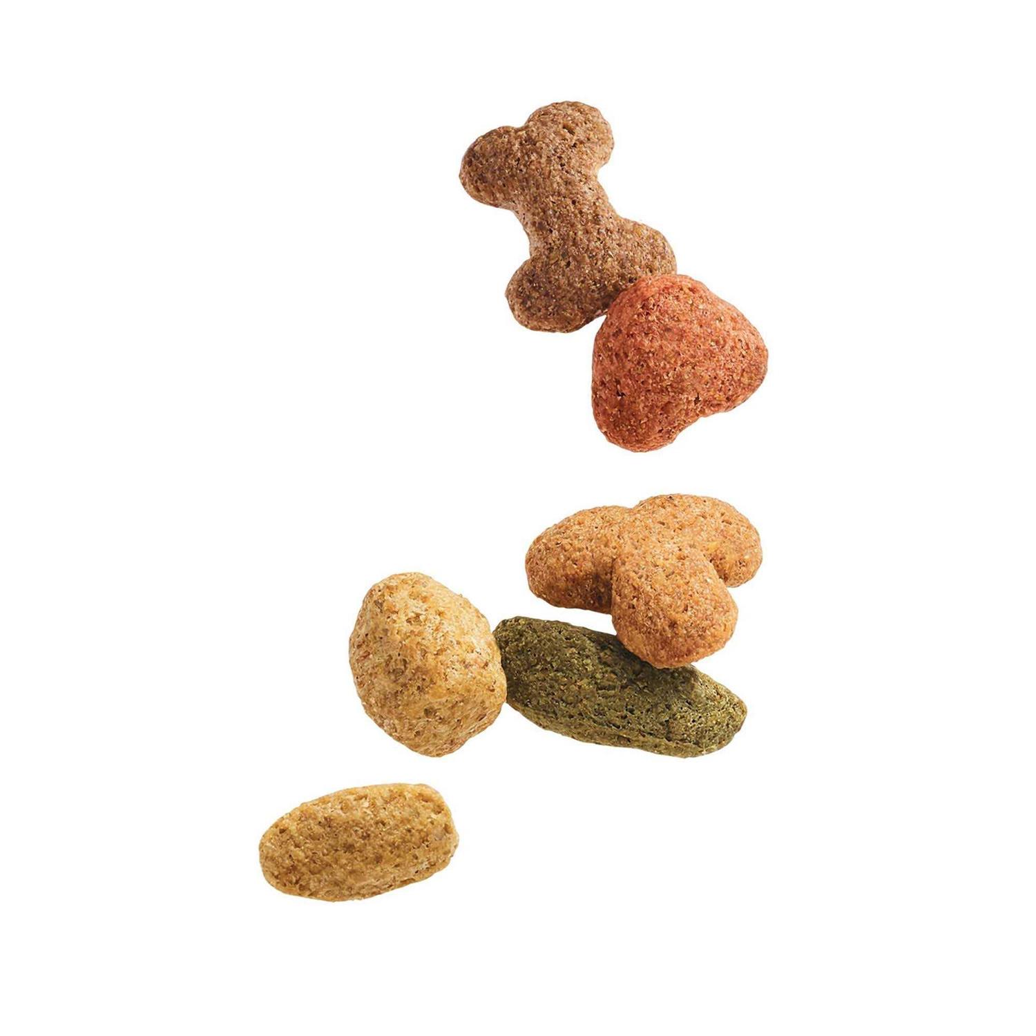 Purina Beneful Healthy Weight Dry Dog Food Chicken