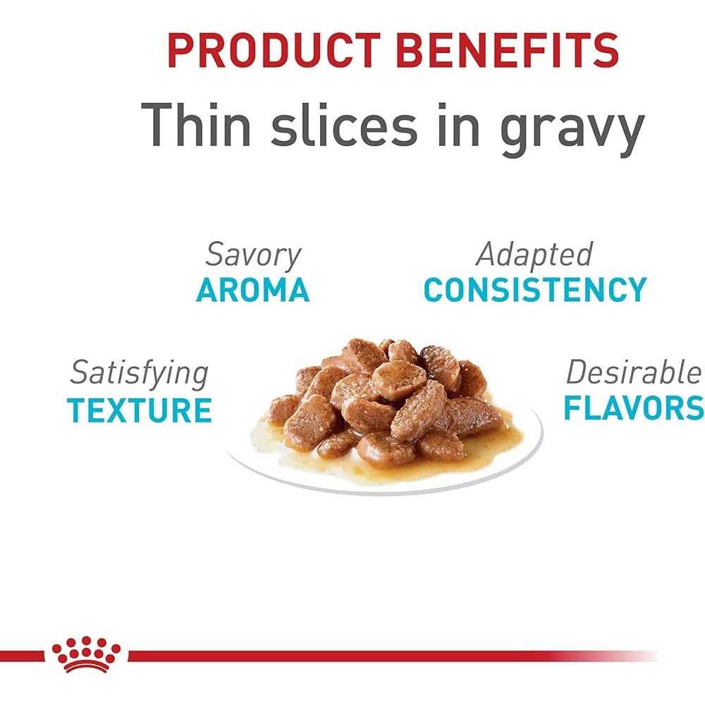 Royal Canin Feline Care Nutrition Urinary Care Thin Slices in Gravy Wet Cat Food