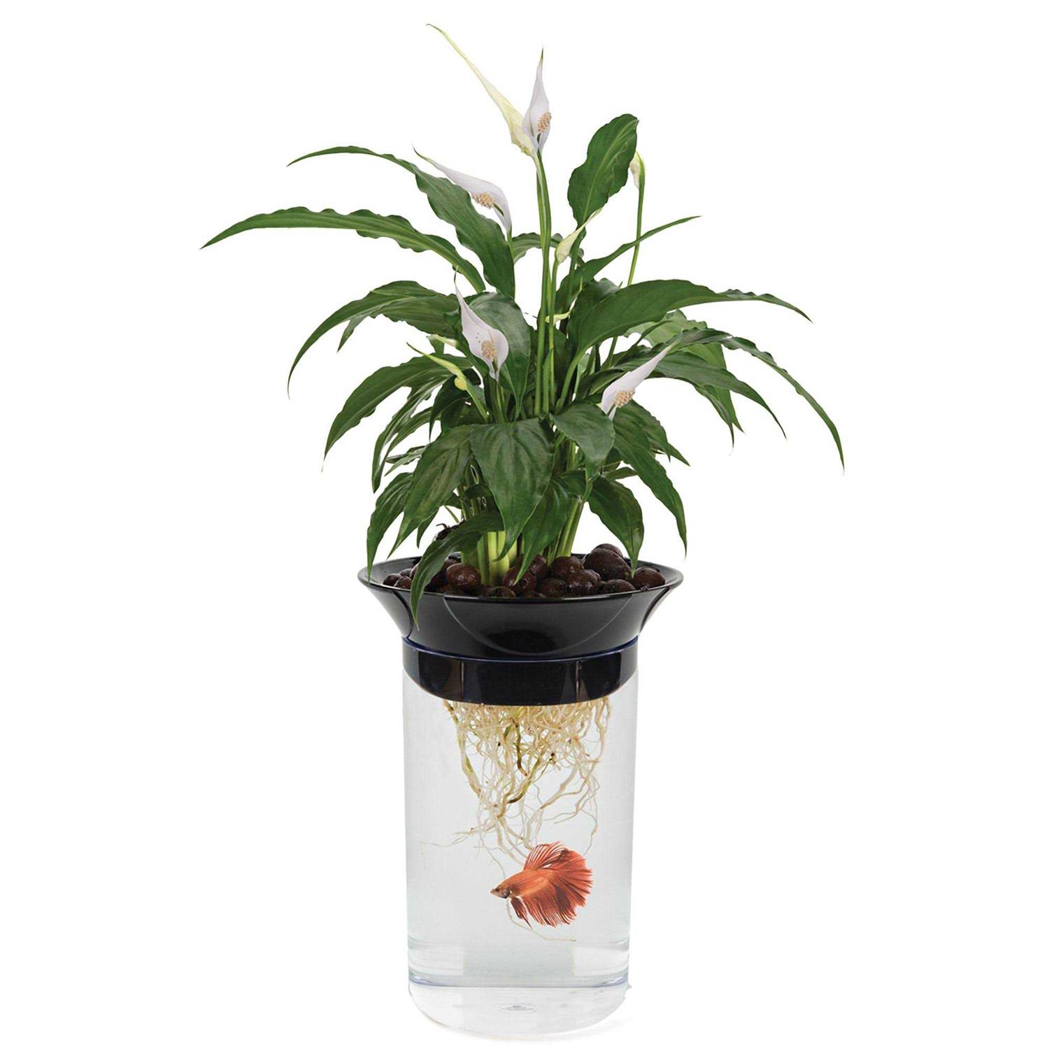 Penn Plax Nature’s Aqua-Ponic Planter & Fish Habitat