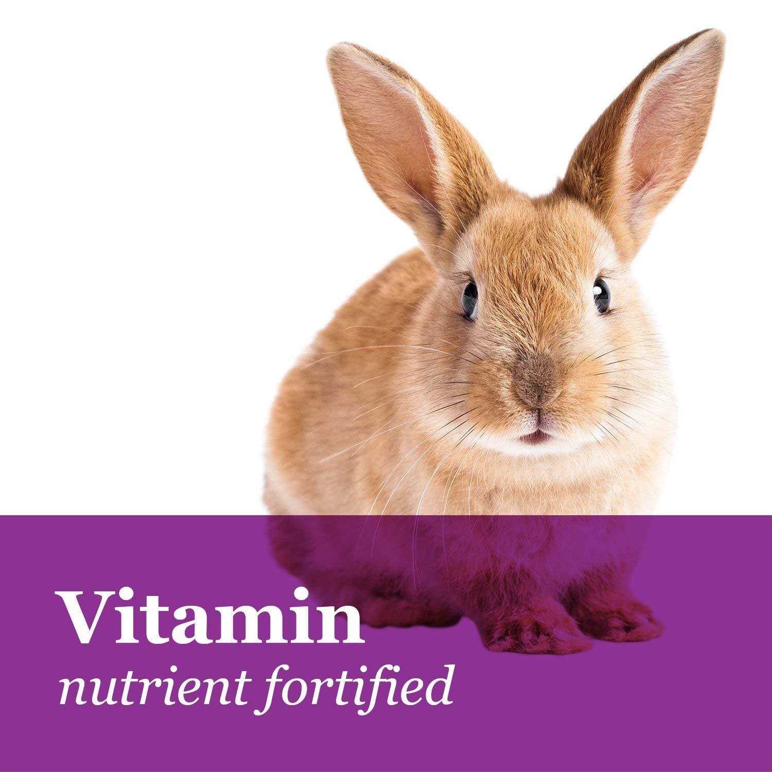 Brown’s Tropical Carnival Gourmet Rabbit Food