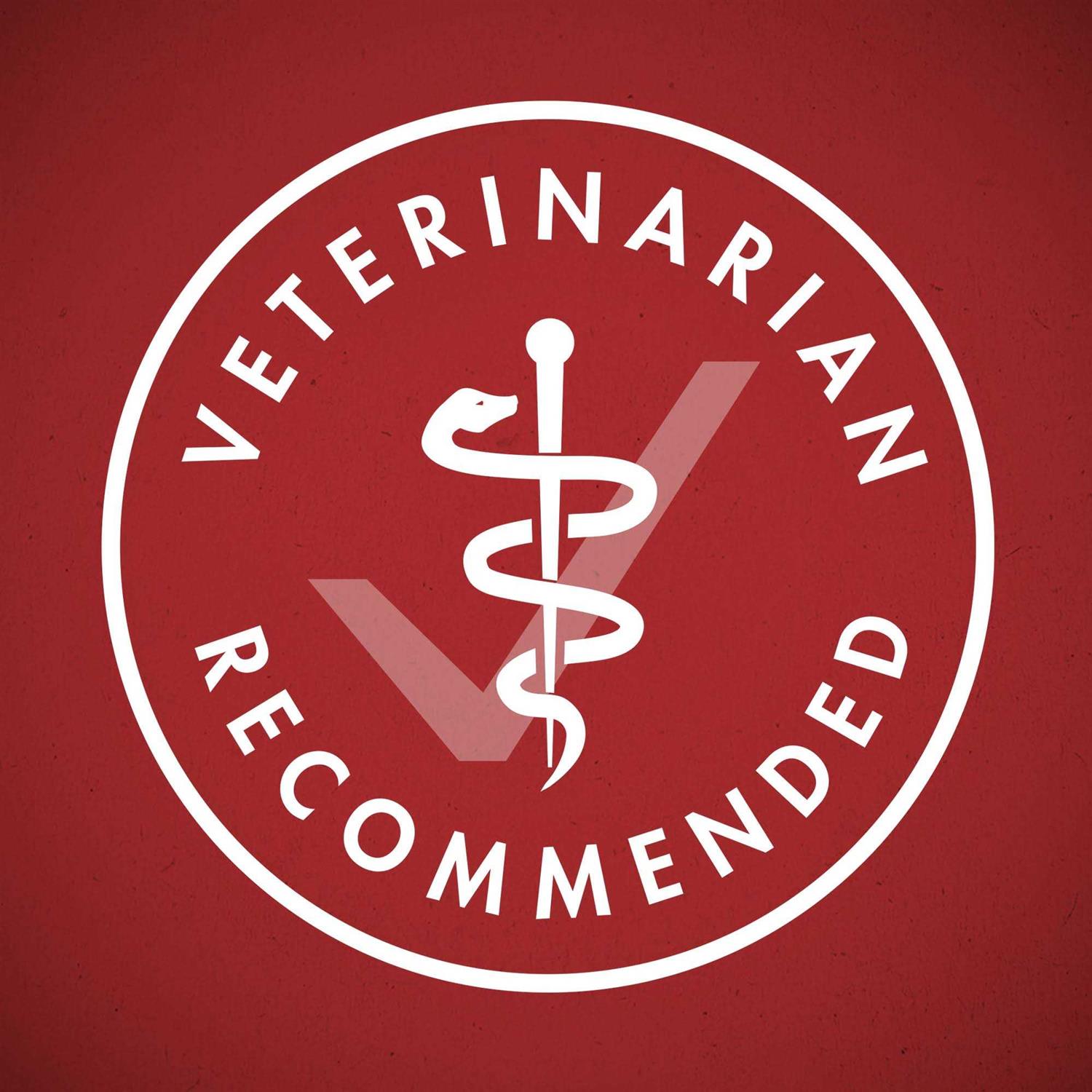 Purina ONE SmartBlend Classic Healthy Puppy Ground Lamb & Long Grain Rice Canned Dog Food