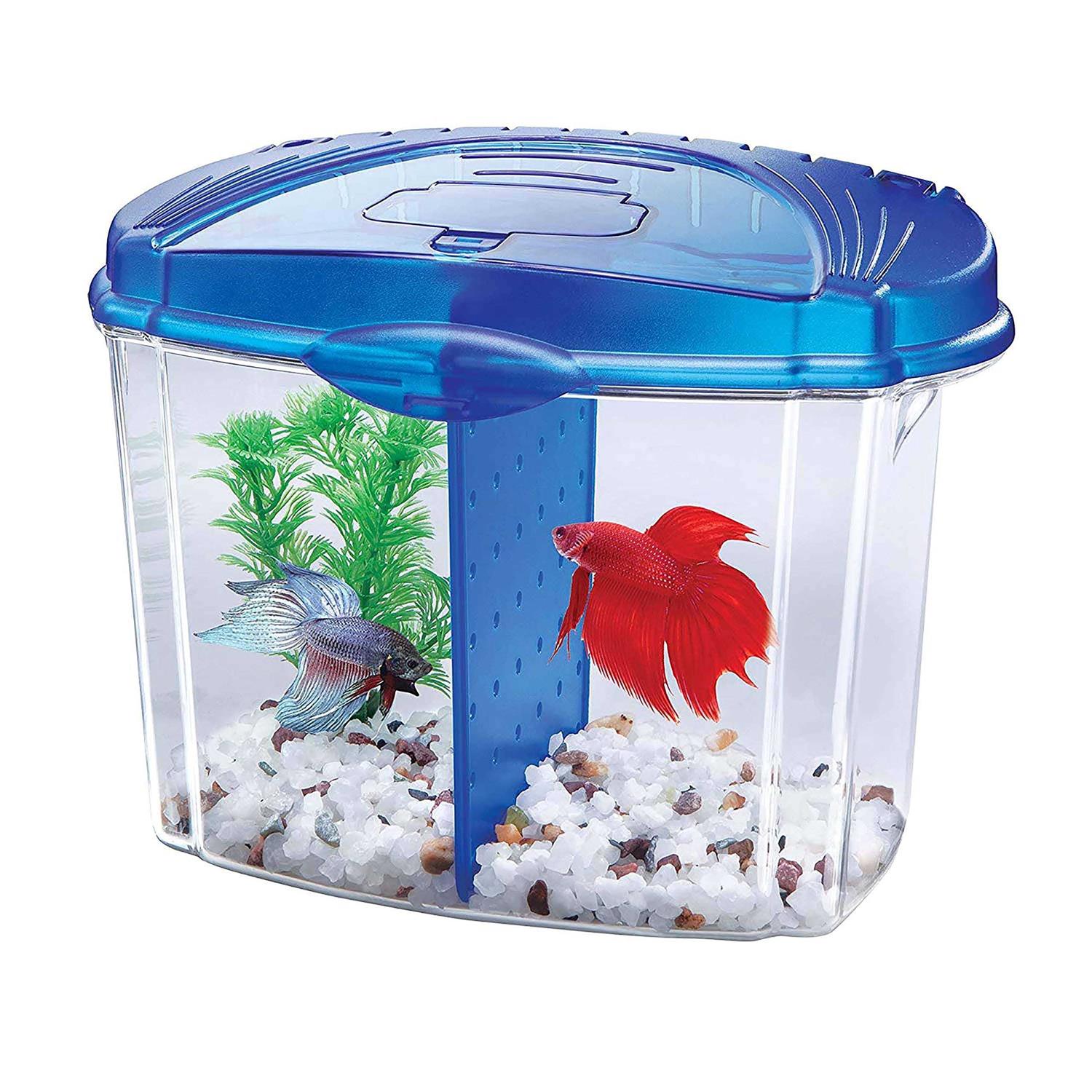 Aqueon Betta Bowl Kit