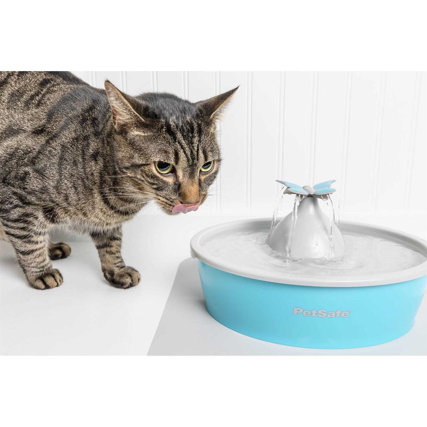 PetSafe Drinkwell Butterfly Pet Fountain