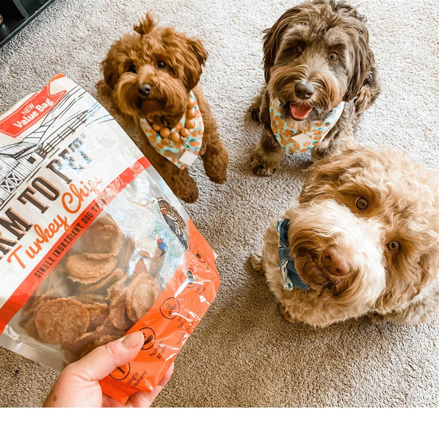 Farm to Pet Turkey Chips Dog Treats