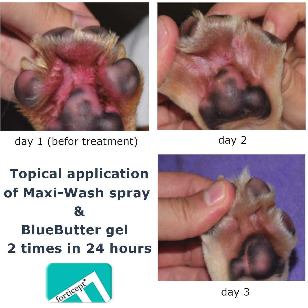 Forticept Blue Butter Hot Spot Treatment for Dogs & Cats Dog Wound Care