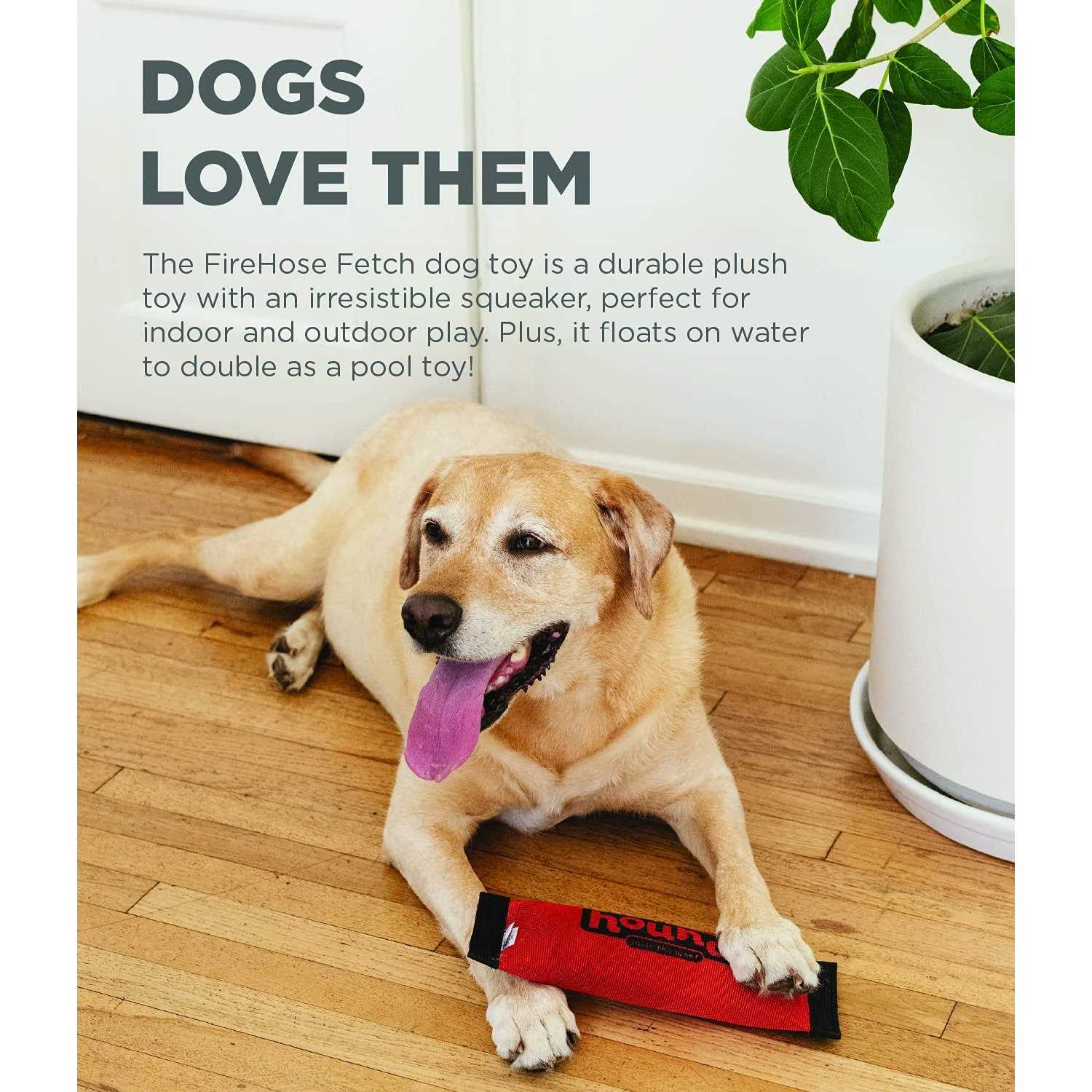 Outward Hound Fetch Dog Toy