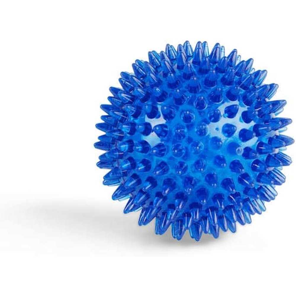 Leaps & Bounds Spiny Ball Dog Chew Toy