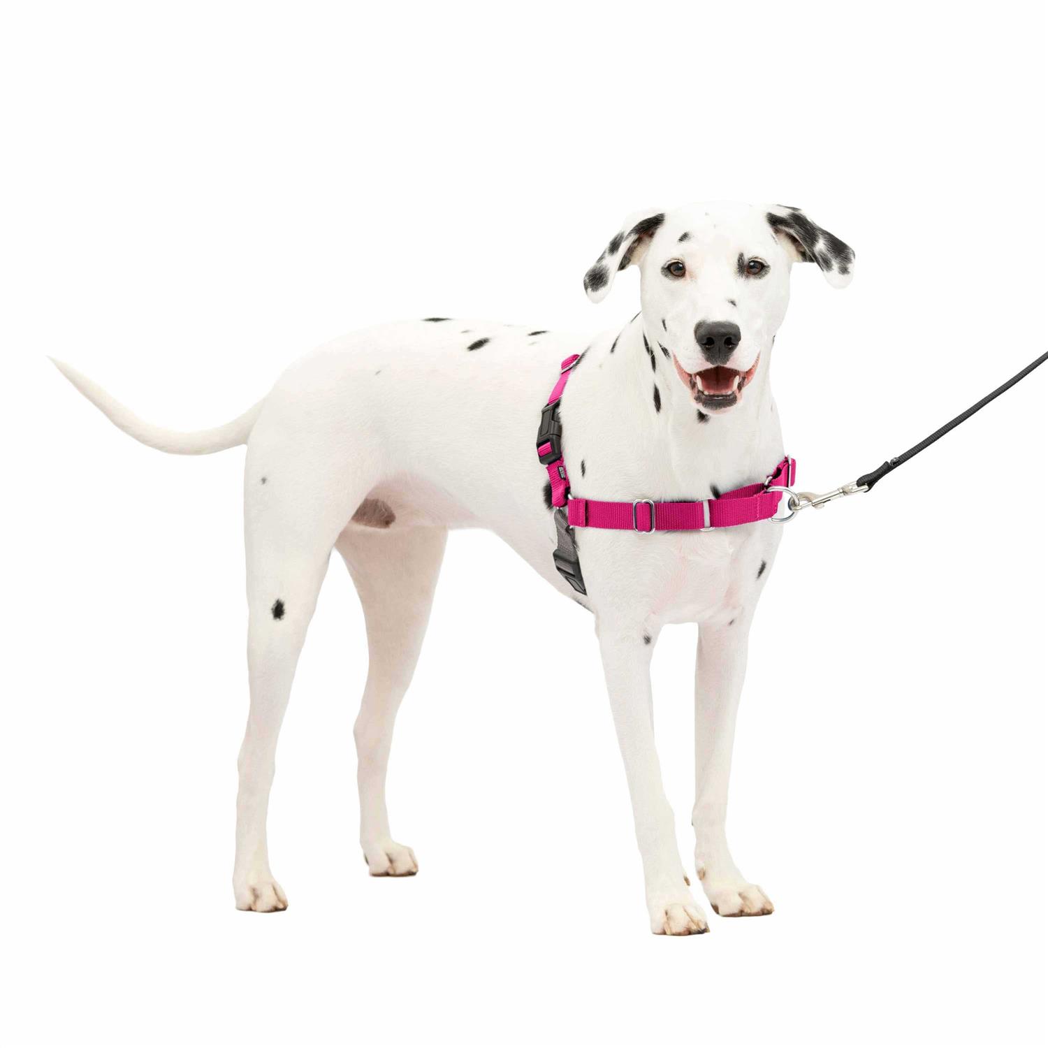 PetSafe Easy Walk Dog Harness