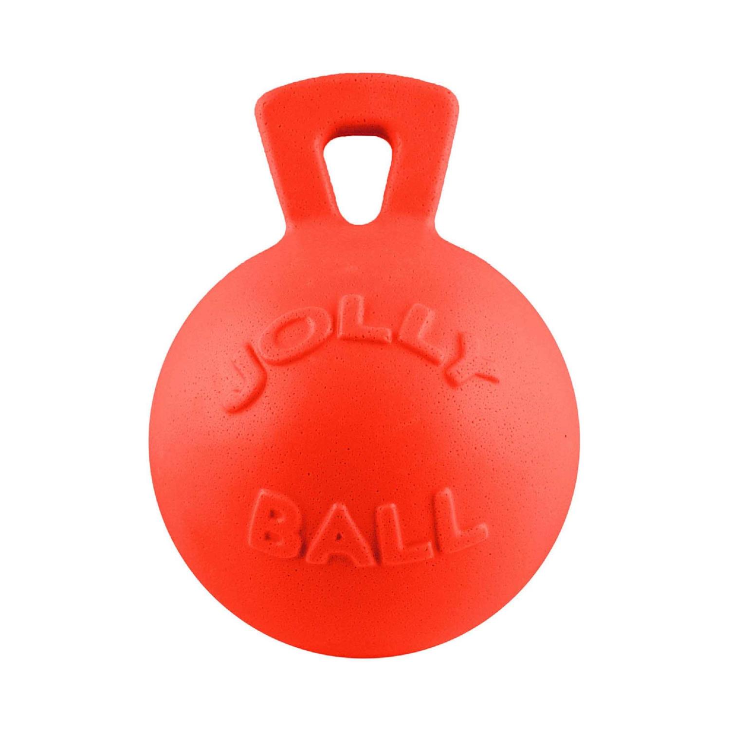 Jolly Pets Dual Jolly Ball