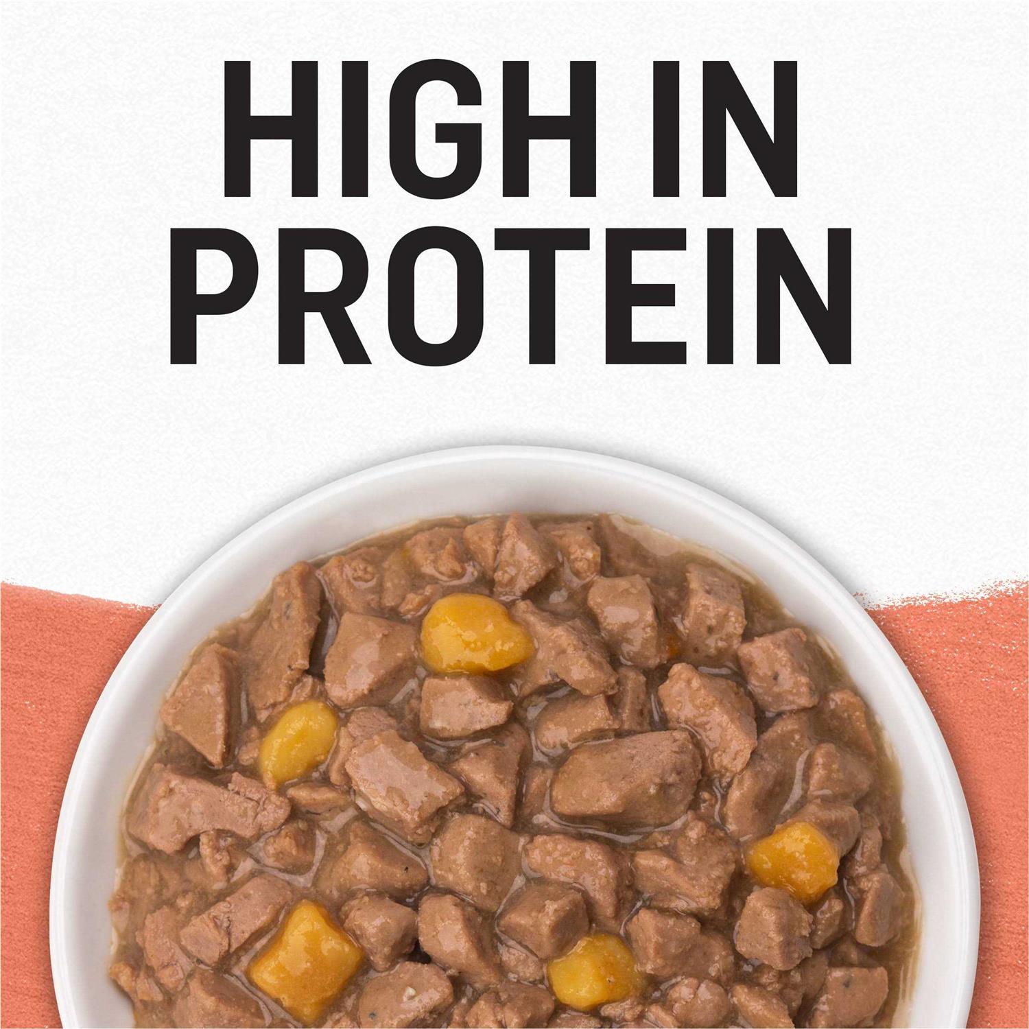 Purina Beyond Grain Free Salmon & Sweet Potato Recipe in Gravy Cat Food