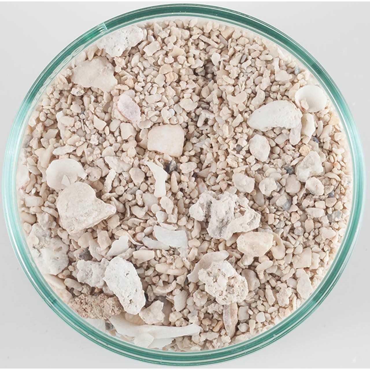 CaribSea Dry Aragonite Seafloor Special Grade Reef Sand