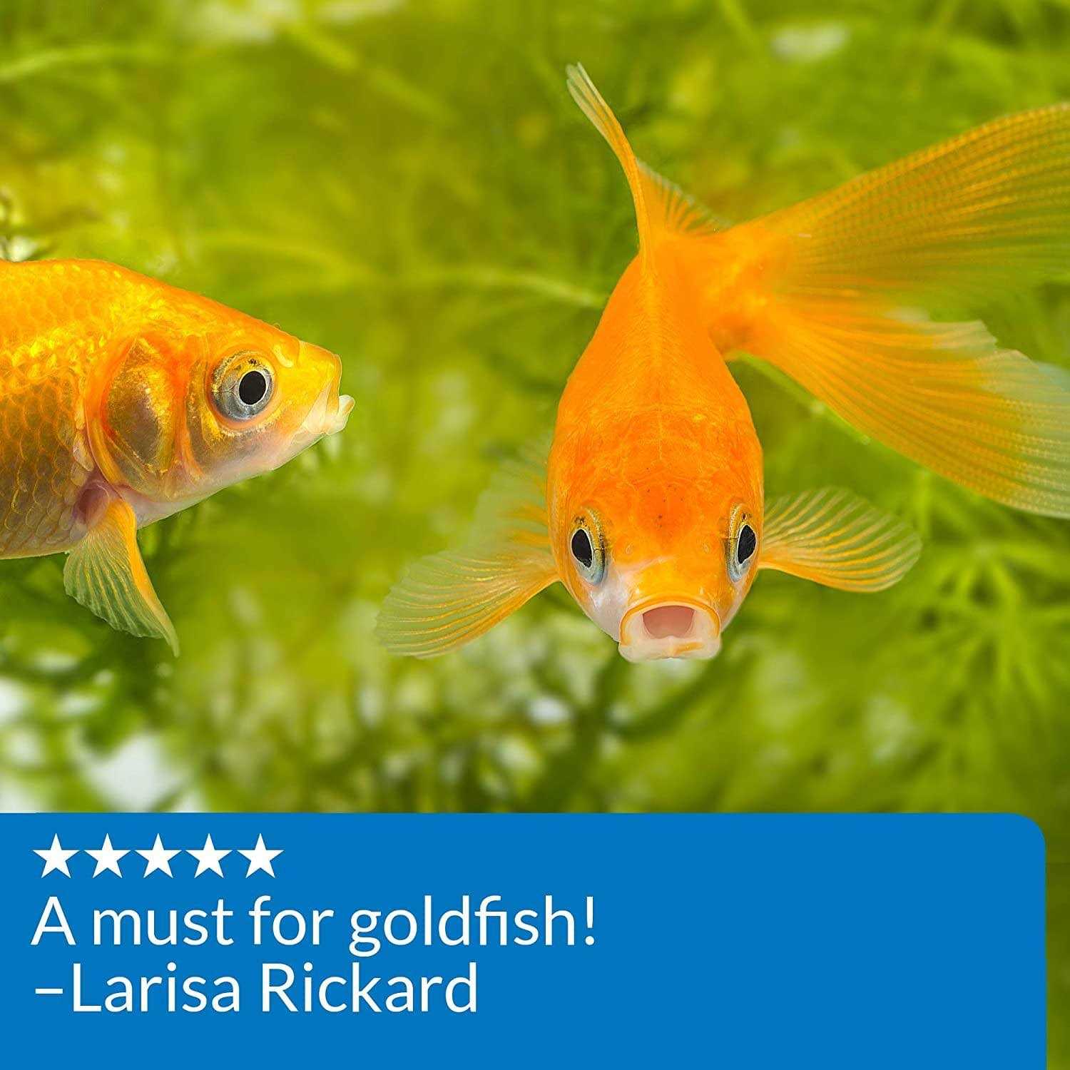 API Goldfish Aquarium Cleaner