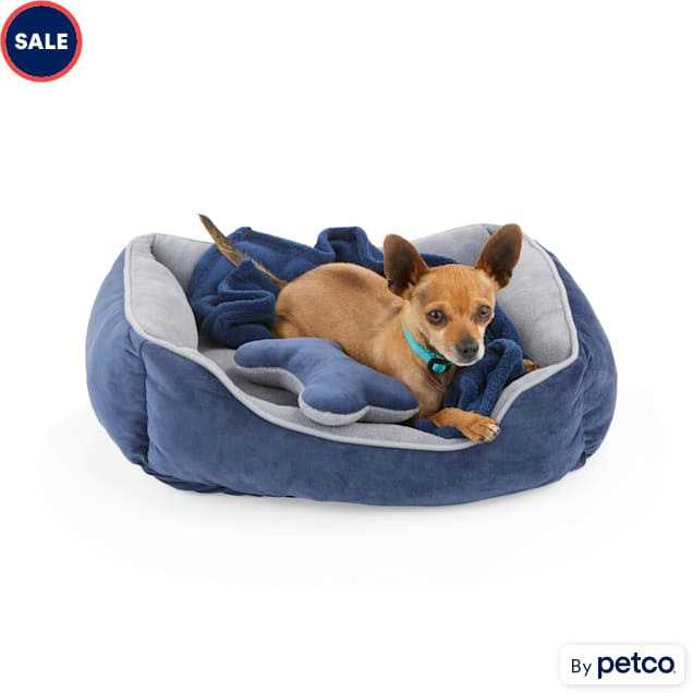 EveryYay Essentials Snooze Fest Dog Bed Bundle