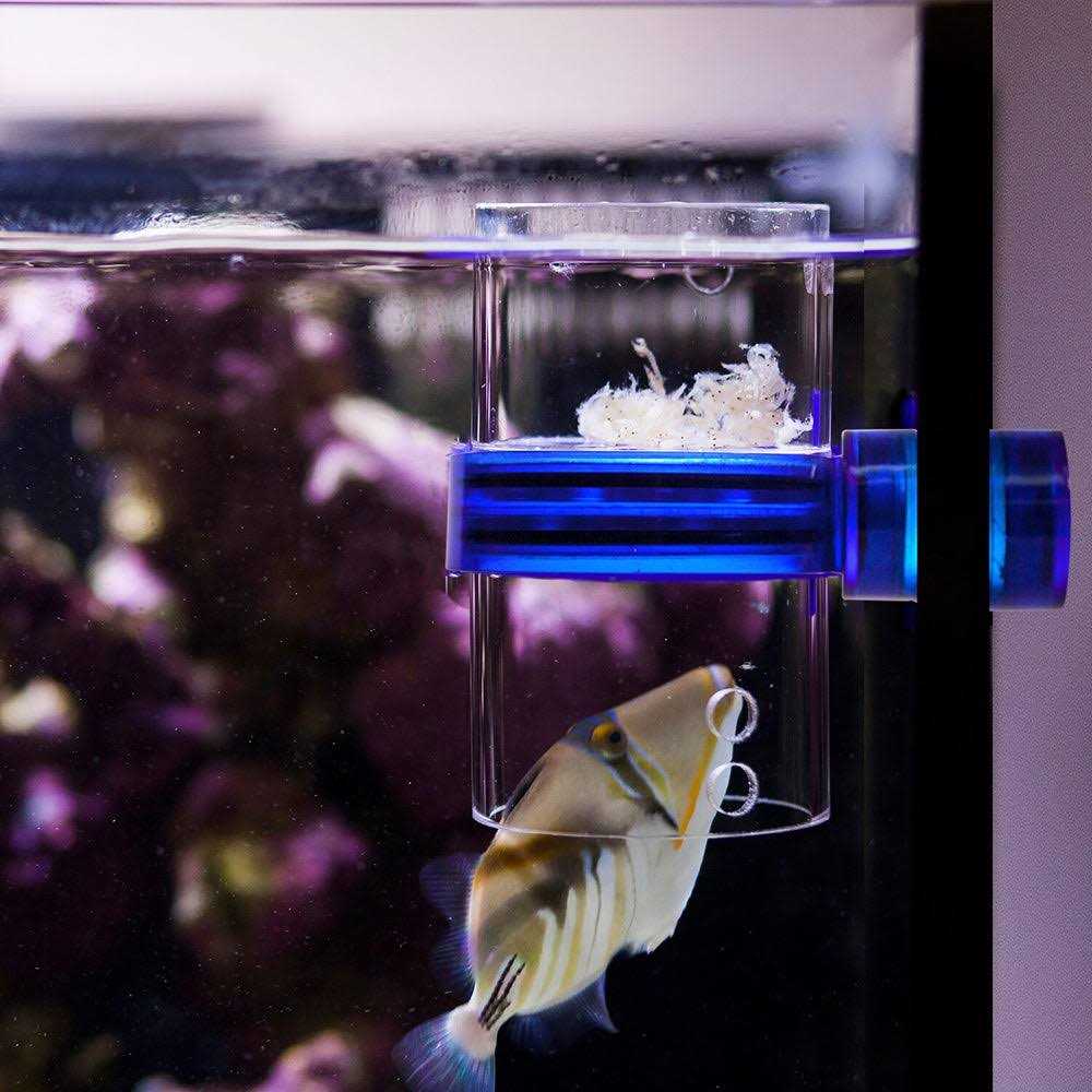 Innovative Marine Gourmet Defroster Pro Magnetic Frozen Food Feeder