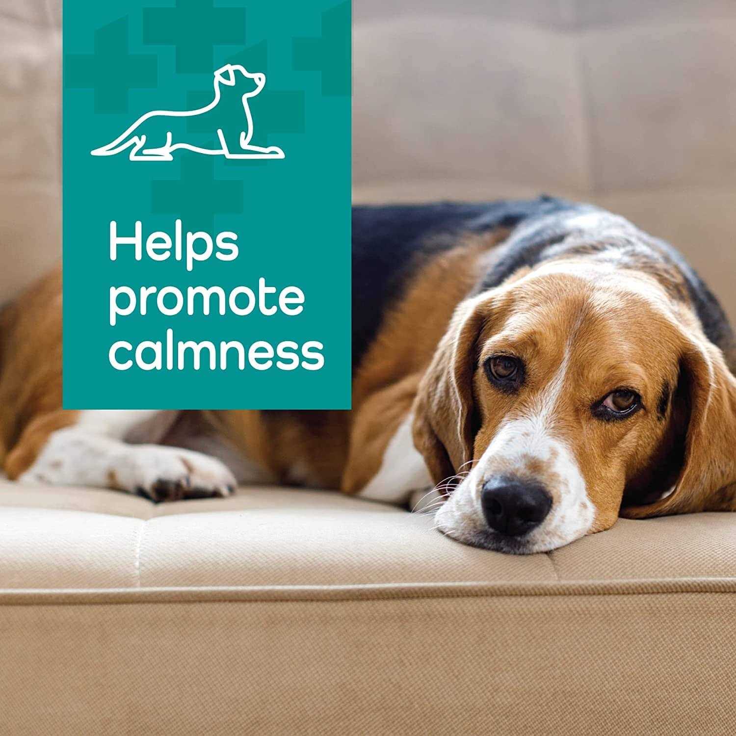 Vetality Hemp Helpers Collar for Dogs