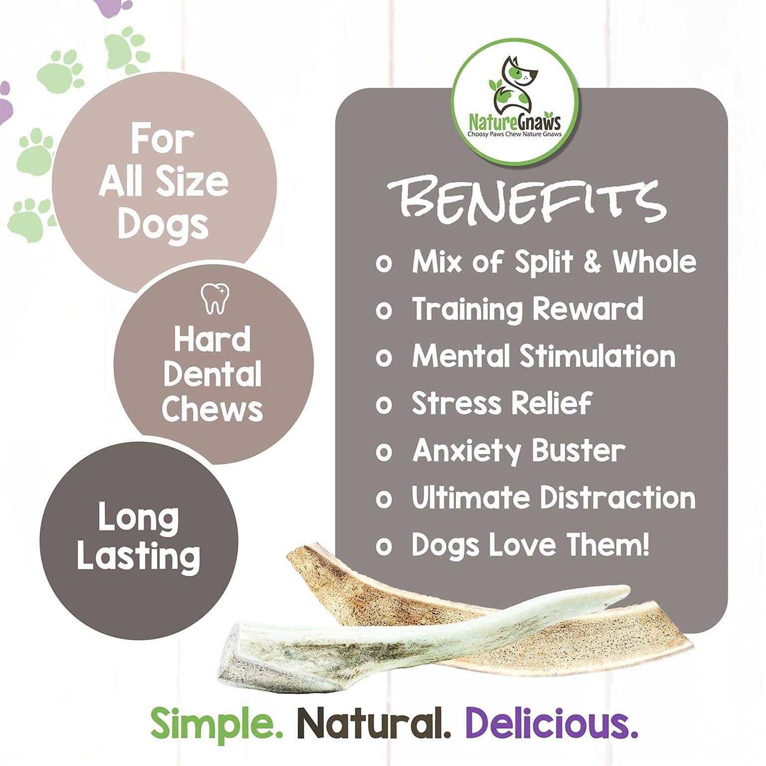 USA Deer Antlers for Small Dogs | Natural Dog Treats | Nature Gnaws