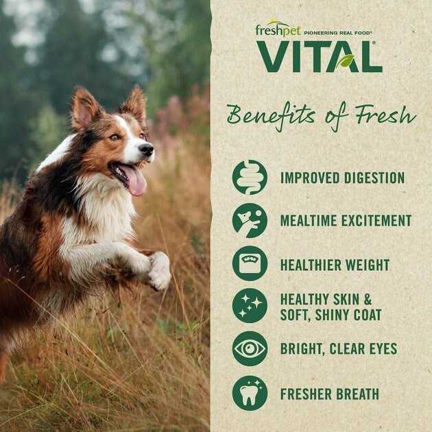 Freshpet Vital Complete Meals Grain-Free Chicken Fresh Small Breed Dog Food