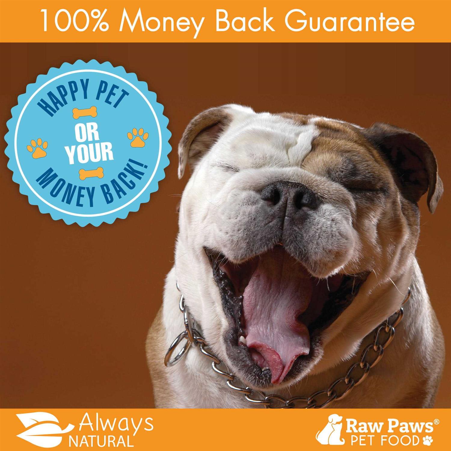 Raw Paws Organic Kelp for Dogs & Cats Iodine Rich for Thyroid