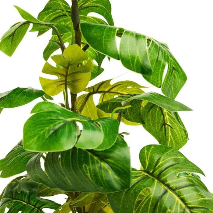 Imagitarium Stand Araceae Plant Terrarium Decor