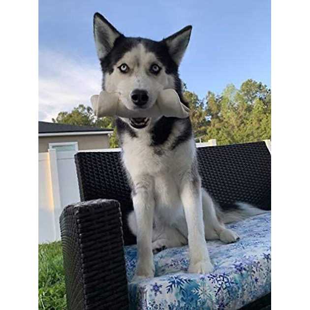 Hotspot Pets Natural White Knotted Rawhide Bone Dog Chew Treats