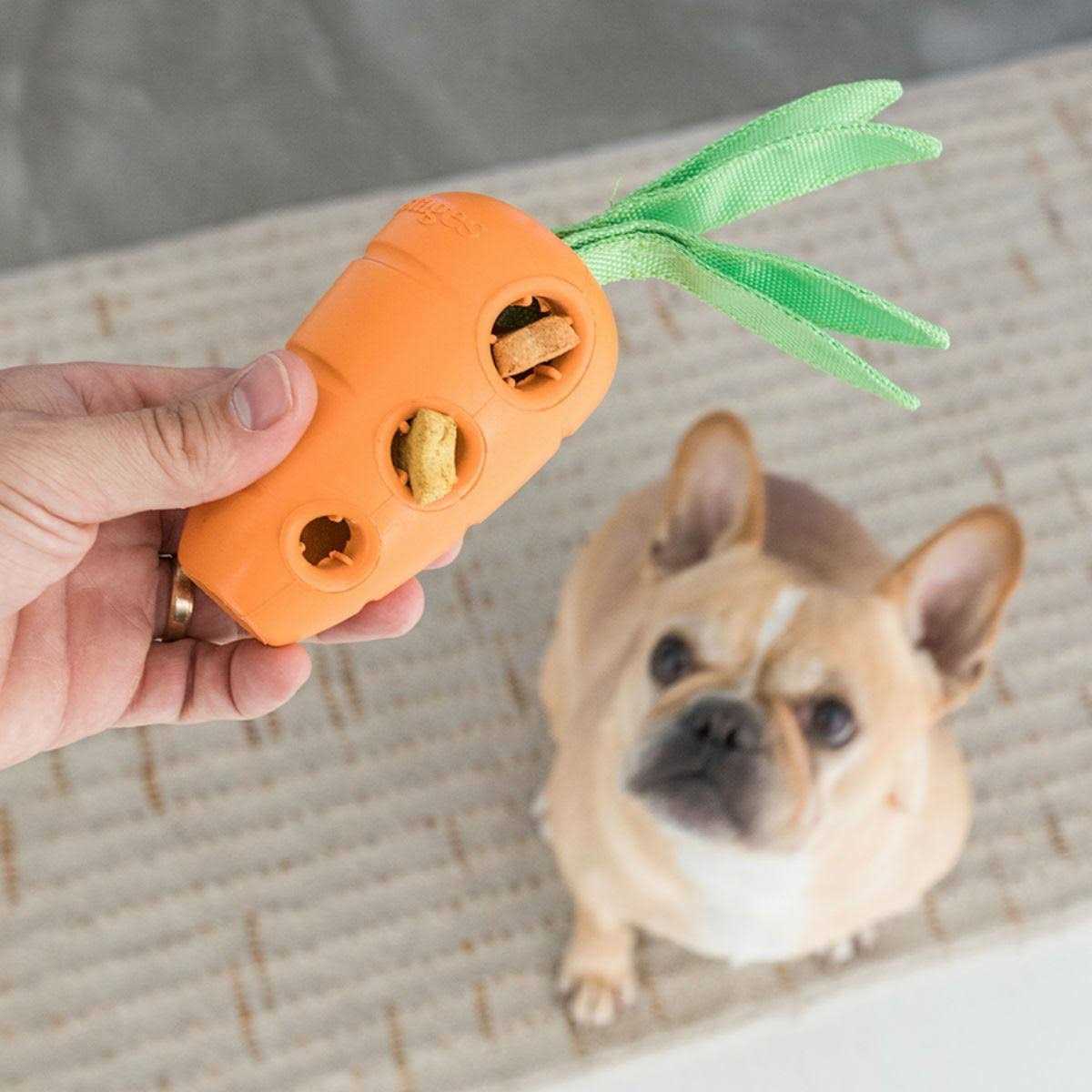 Petstages Carrot Stuffer Dog Toy