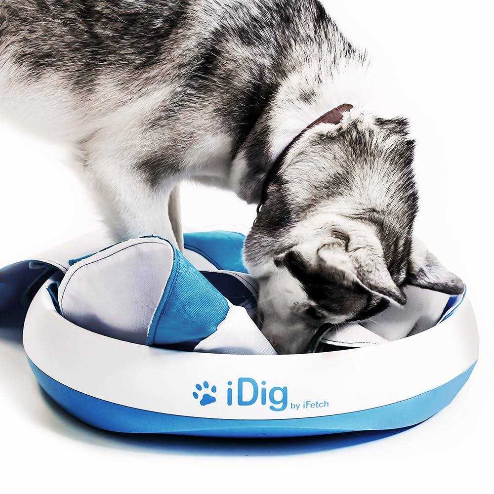 iFetch iDig Stay Digging Toy for Dogs