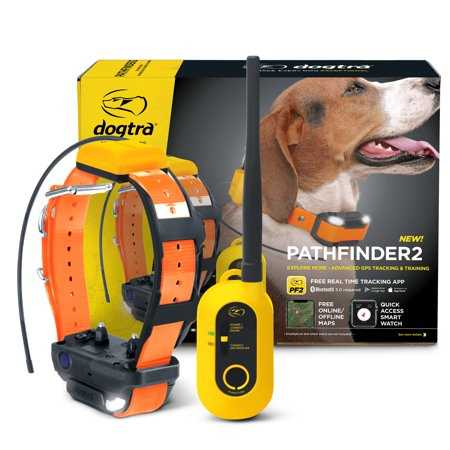 Dogtra Pathfinder2 GPS & Dog Training Collar System, Black