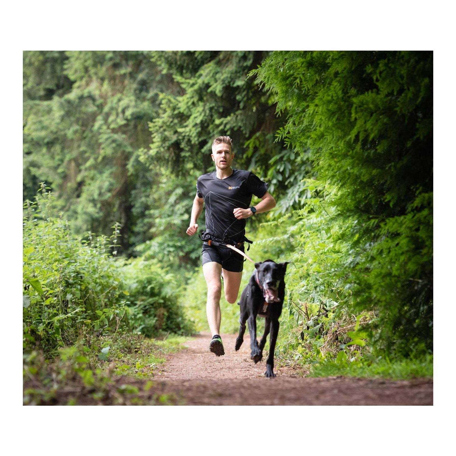 Non-stop Dogwear CaniX Belt