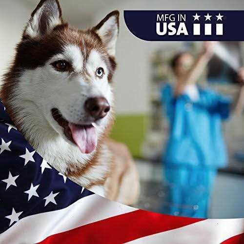 VetWELL Ketoconazole Chlorhexidine Skin Infections Growths Abrasions Acne & Hot Spots Oatmeal & Aloe Mint Scent Medicated Dog & Cat Shampoo