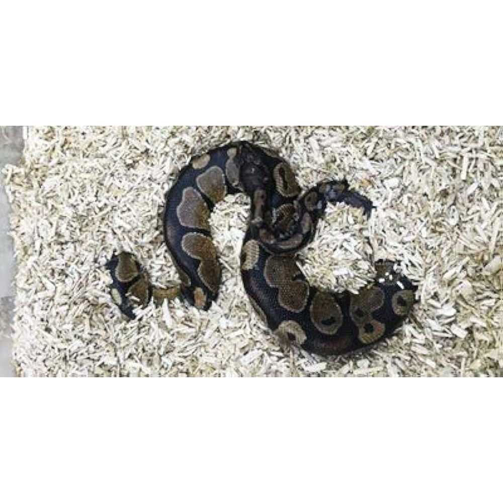 Small Animal Hemp Bedding