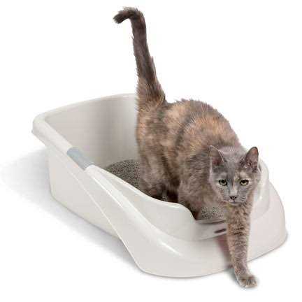 Lucky Champ Litter Pan