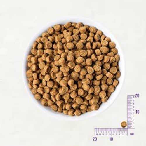 Wellness CORE Natural Grain Free Small Breed Dry Puppy Food