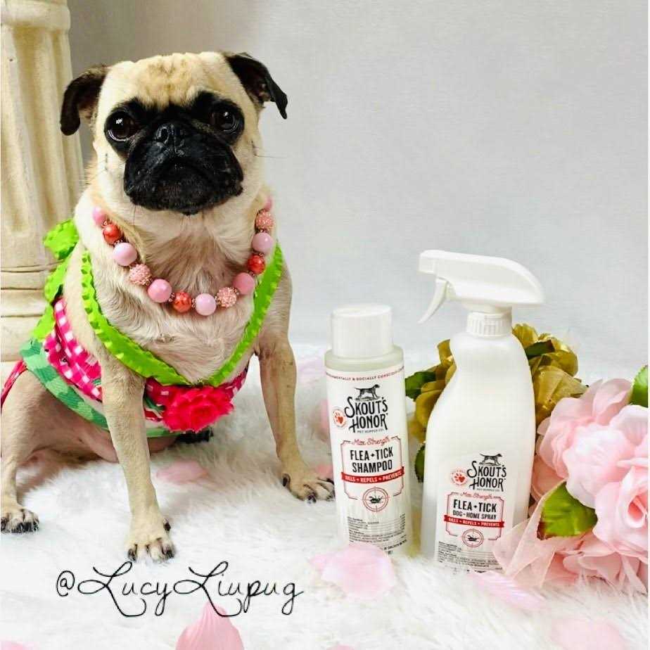 Skout’s Honor Flea & Tick Shampoo