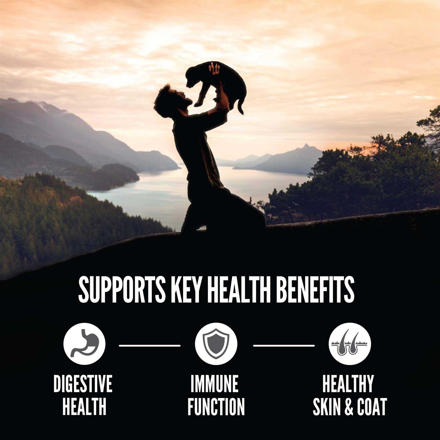 Orijen Amazing Grains Puppy Dry Dog Food