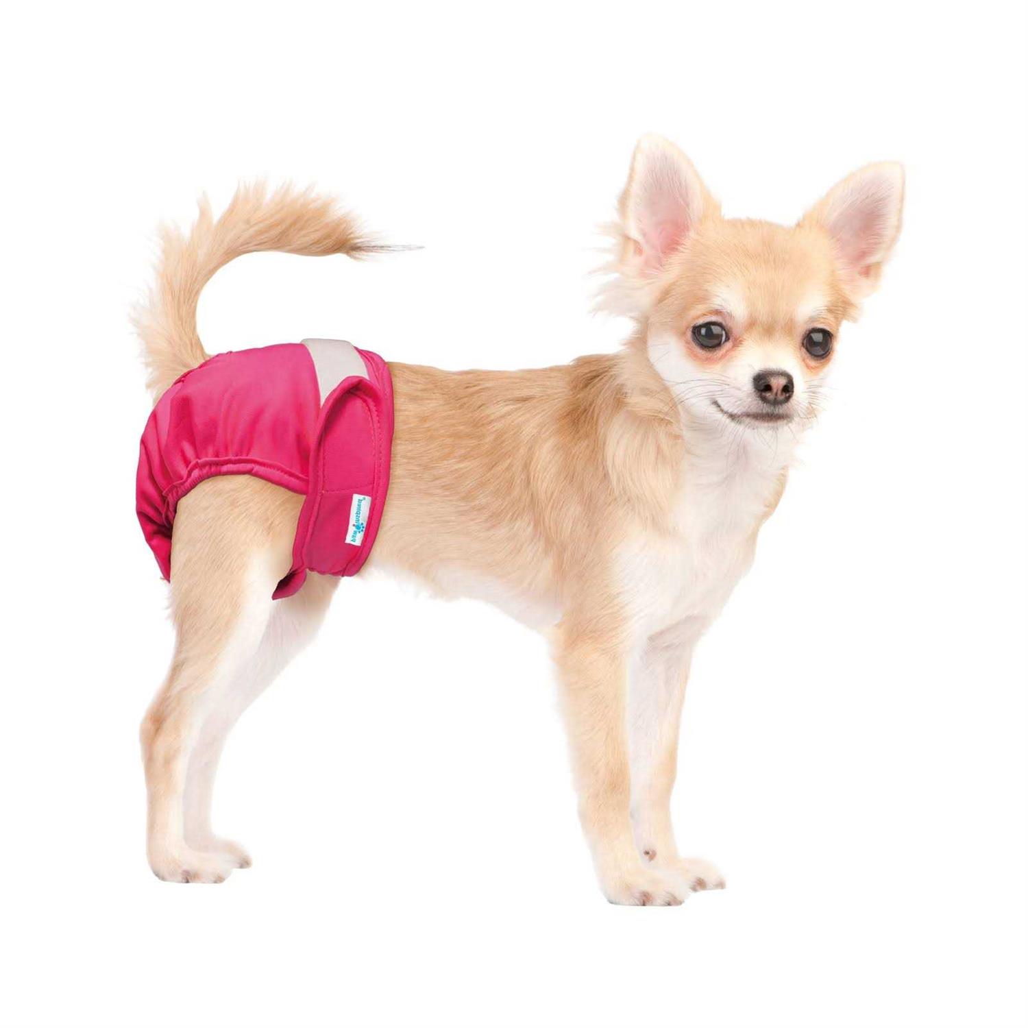 Paw Inspired Washable Dog Diapers Reusable Dog Diapers Female Dog Diapers