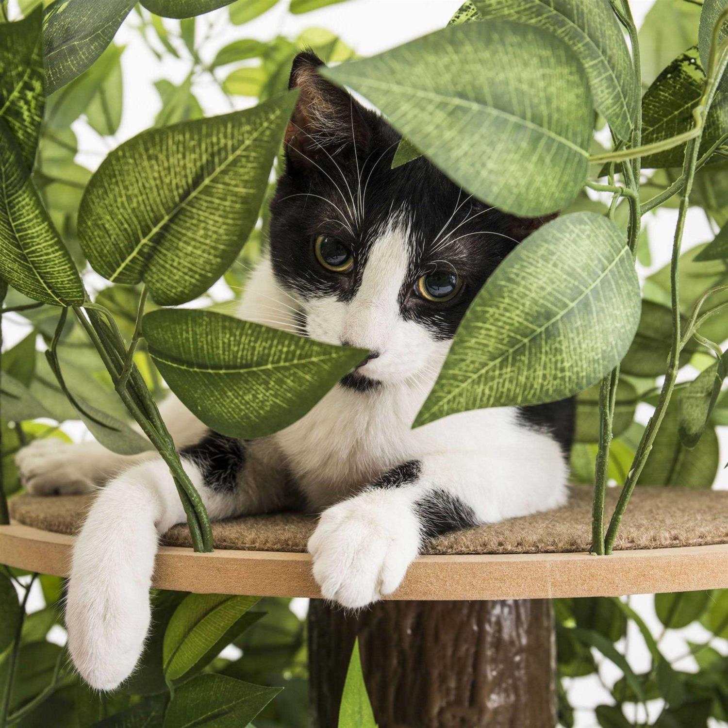 On2 Pets 4ft Interchangeable Leaves Cat Activity Tree Indoor Cat Tower