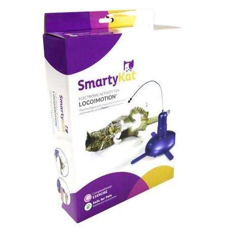 SmartyKat Activity Toy