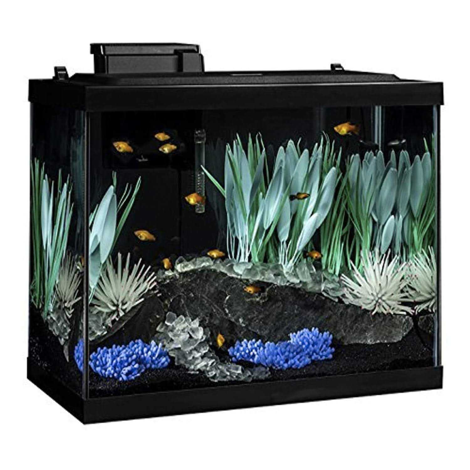 Tetra Colorfusion Aquarium 20 Gallon Fish Tank Kit Includes LED