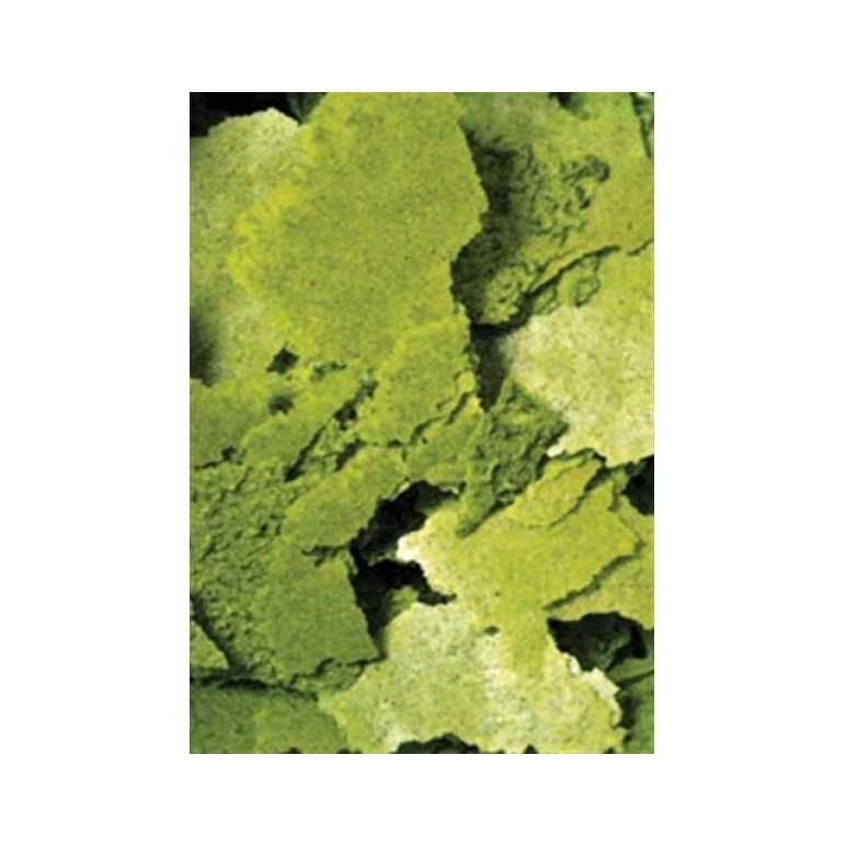 Ocean Nutrition Formula Two Flakes