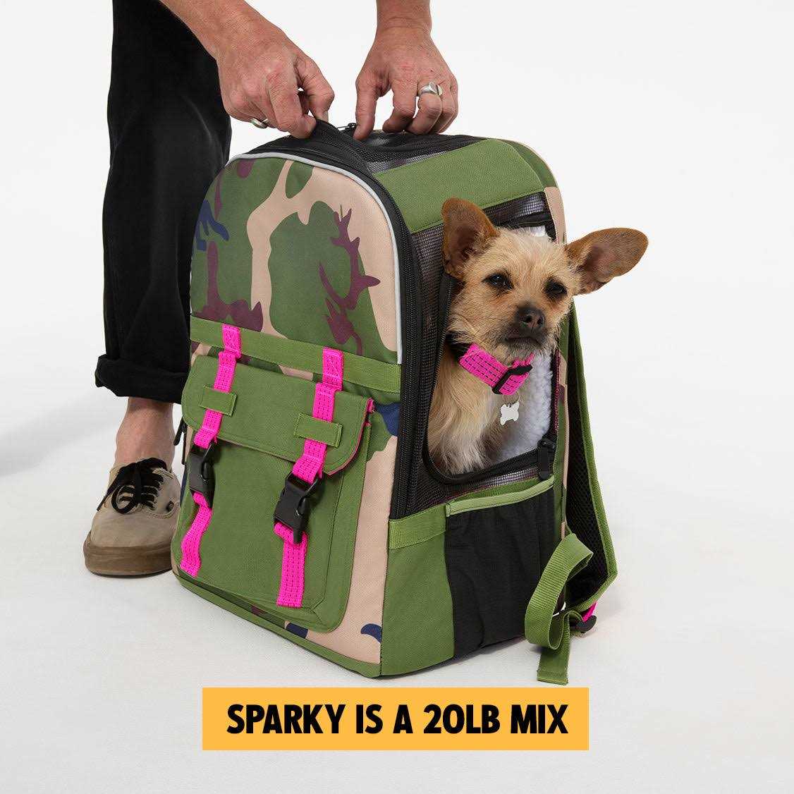 ROVERLUND Airline-Compliant Pet Backpack Carrier For pets up to 25lbs