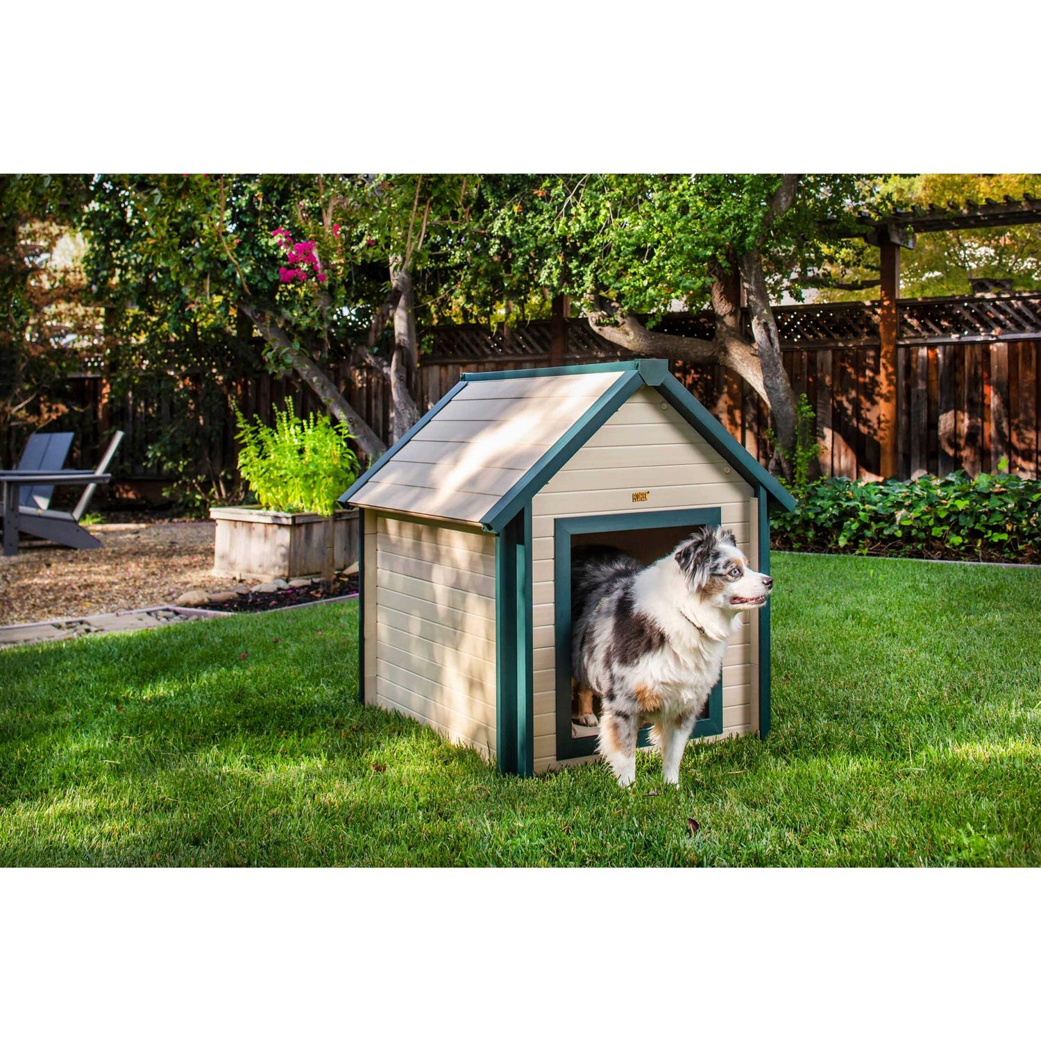 New Age Pet EcoFLEX Bunk House