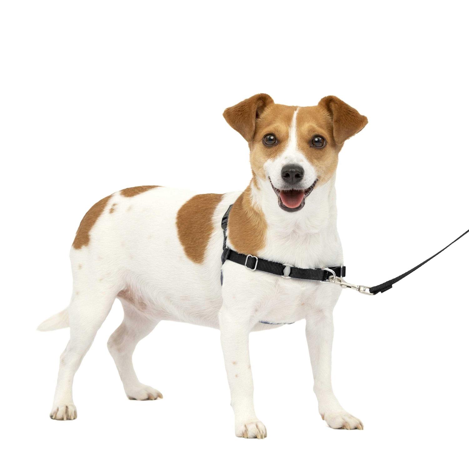 PetSafe Easy Walk Dog Harness