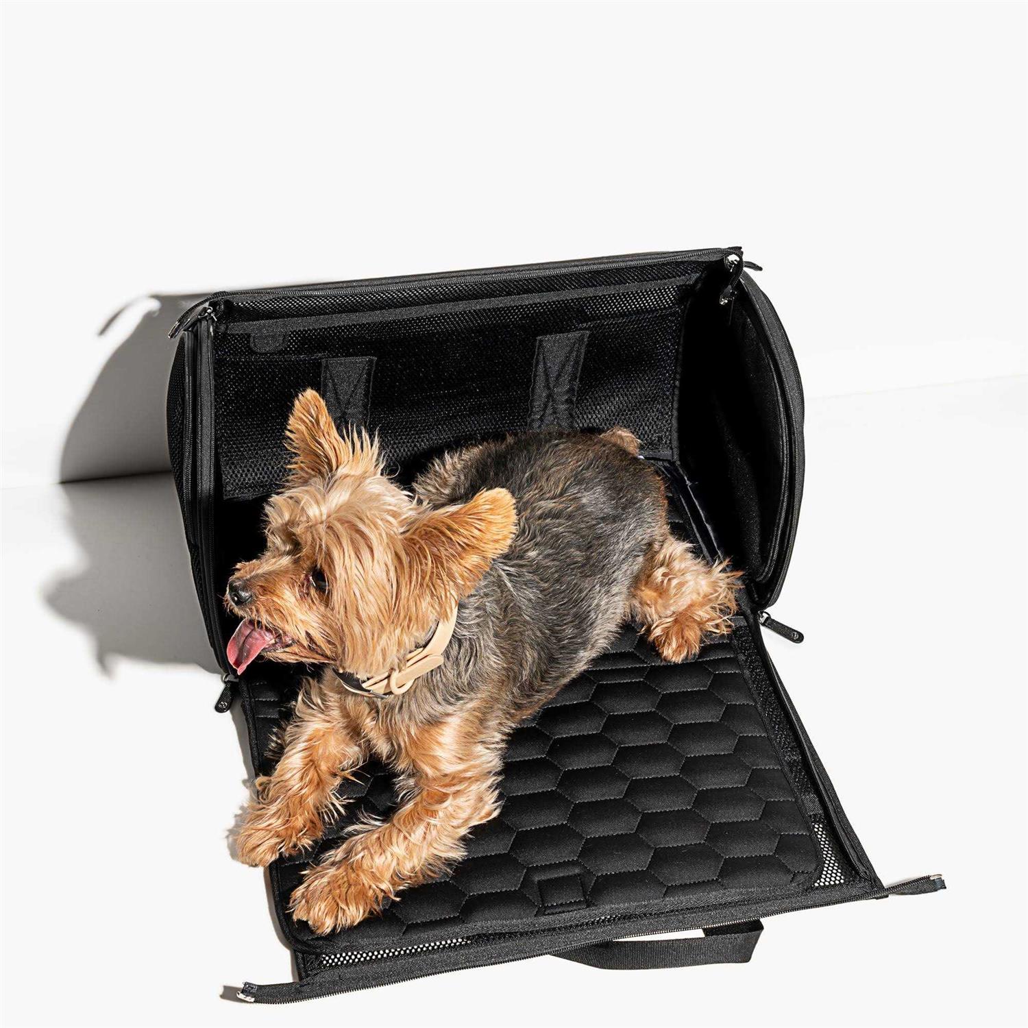 Wild One Travel Carrier