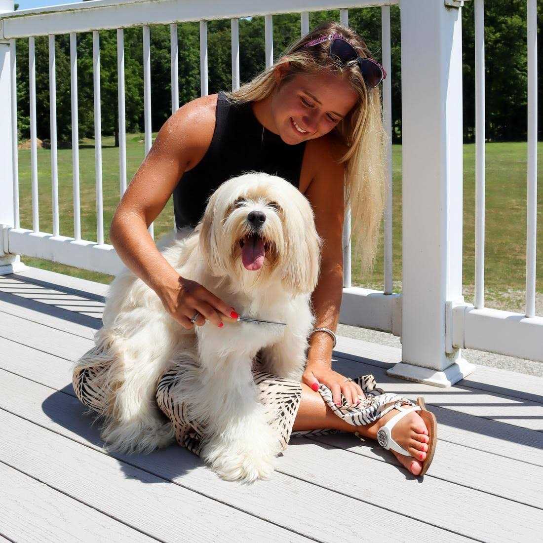 Safari Dog Shedding Comb